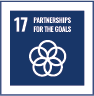 SDG 17